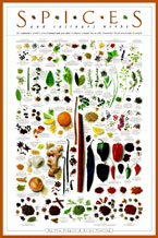Spices and Culinary Herbs Poster