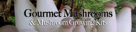 Gourmet Mushrooms and Mushroom Growing Kits